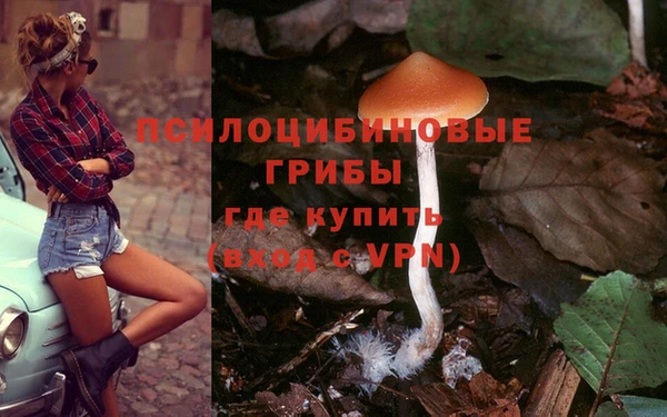 соль курить ск Балабаново