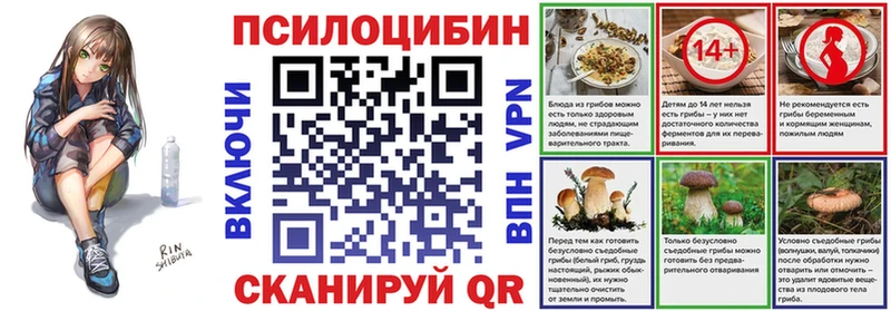 Псилоцибиновые грибы мухоморы  Стародуб 